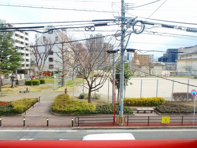 プレデュレコール その他3