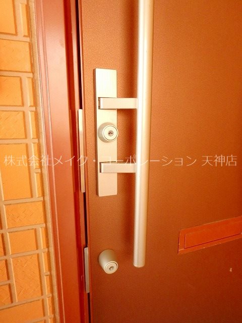 プレデュレコール その他8