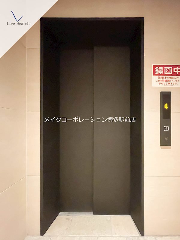 Coccinelle その他13