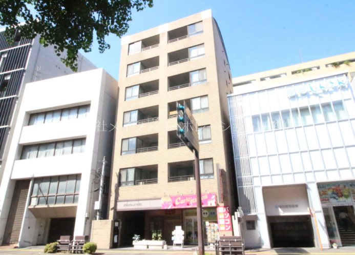 プラムビレッジHIRO 外観