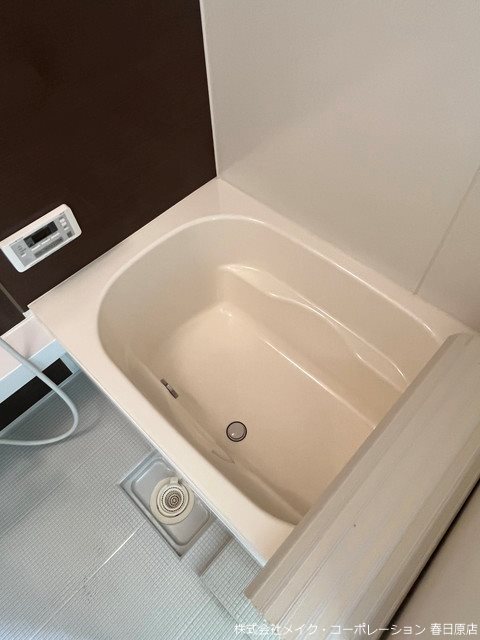 カクタスレジデンス その他14