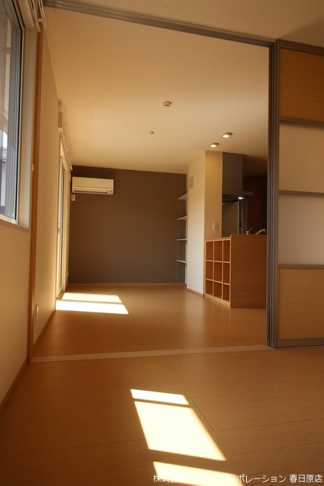 seed その他1