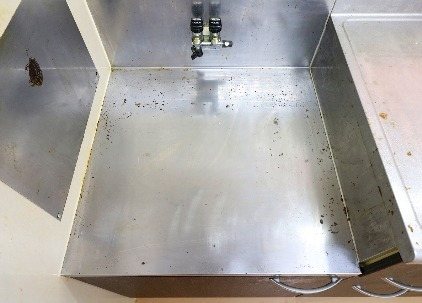 ヴァンジェーロ福重 その他12