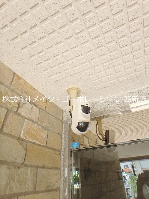 パインテール室見 その他外観4