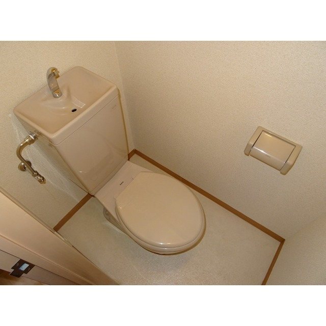 メープル その他1