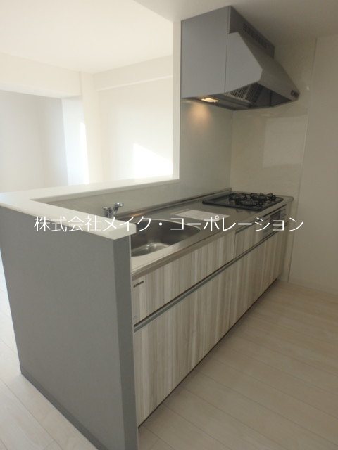 写真は同型タイプ EREINA キッチン