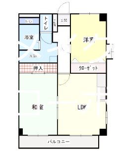 シャトレIZUMI 間取り