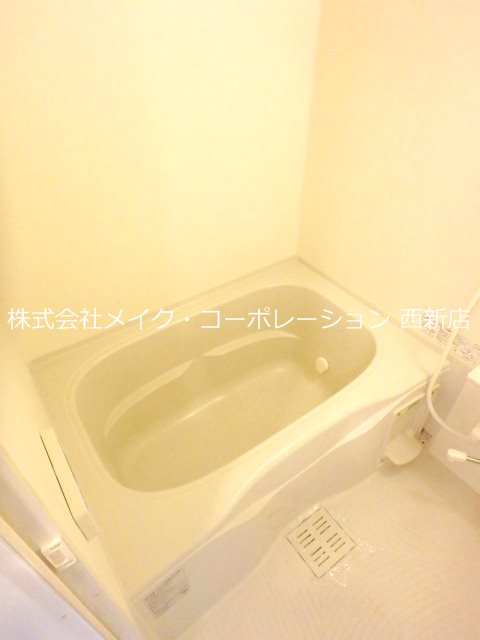 バス レジディア西新【Iタイプ】 その他13