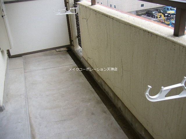 天神南ロイヤルハイツ  その他3