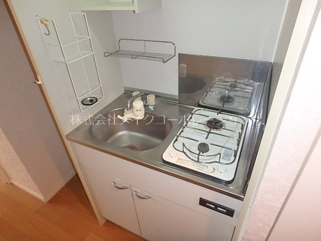 ダイナコートエスタディオ大濠公園Ⅱ キッチン