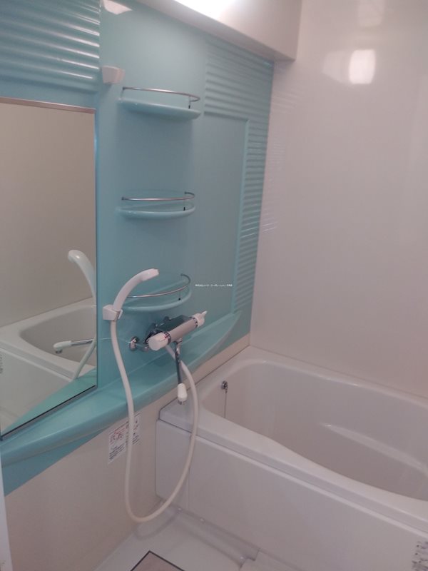 エンクレスト渡辺通南  風呂画像