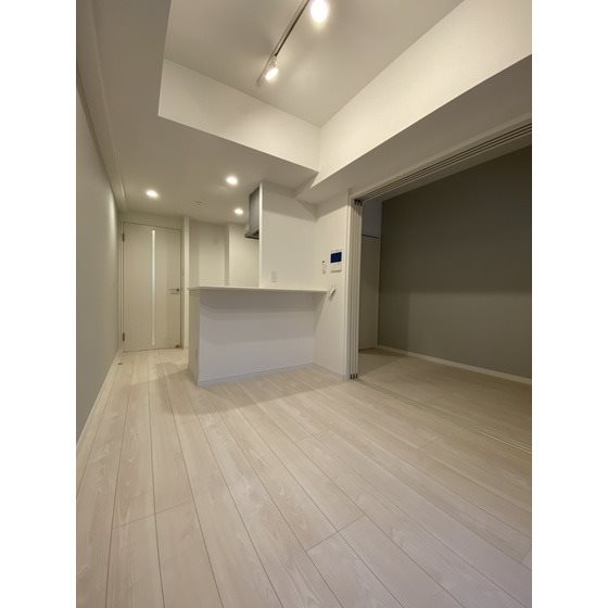 リビング リアンシエルブルー白金 リビング