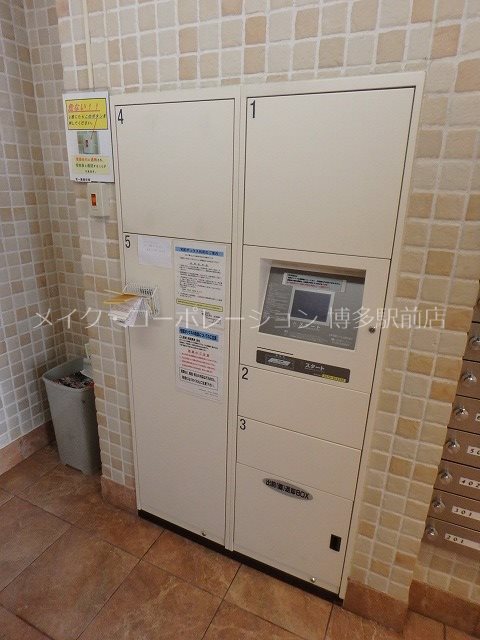 サヴォイエイペックス その他2