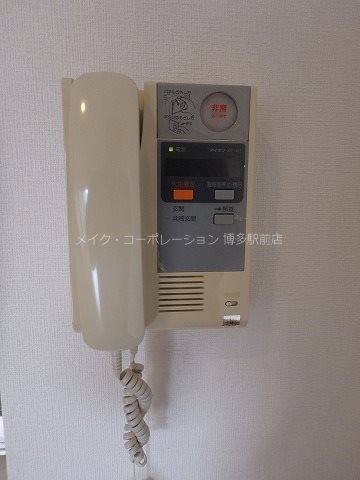 サヴォイエイペックス その他13