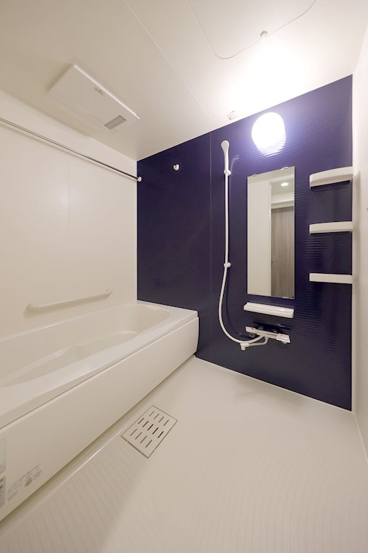 プレジデント白水Ⅴ   風呂画像