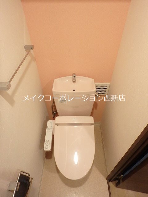 パウリスター  その他3