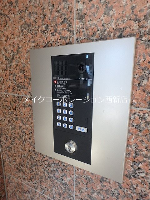 パウリスター  その他6