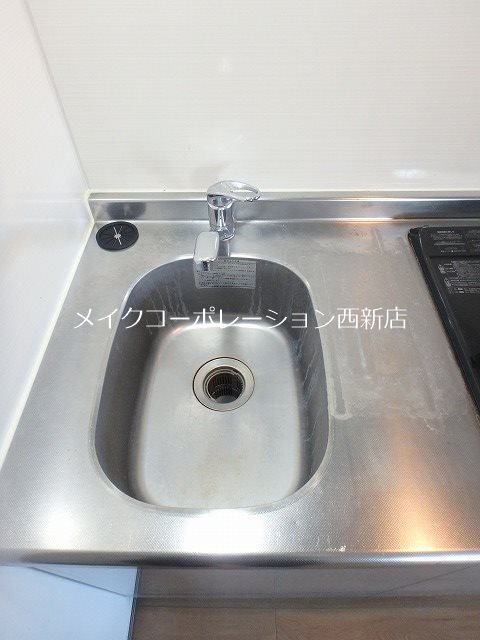 パウリスター  その他9