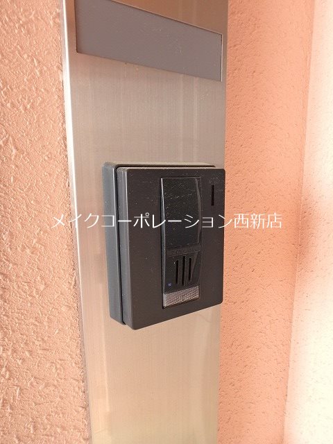 パウリスター  その他14