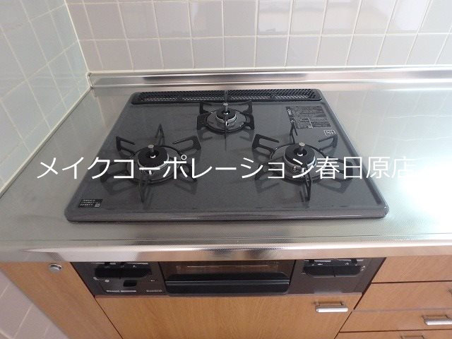 写真は同型タイプ ビューテラス那珂川 その他14