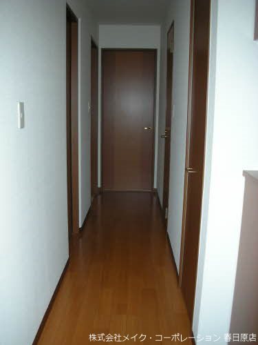 玄関 アンスリーゼ大城G棟 玄関