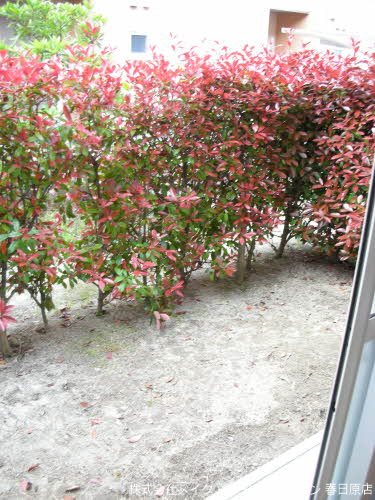 ベランダ アンスリーゼ大城G棟 ベランダ