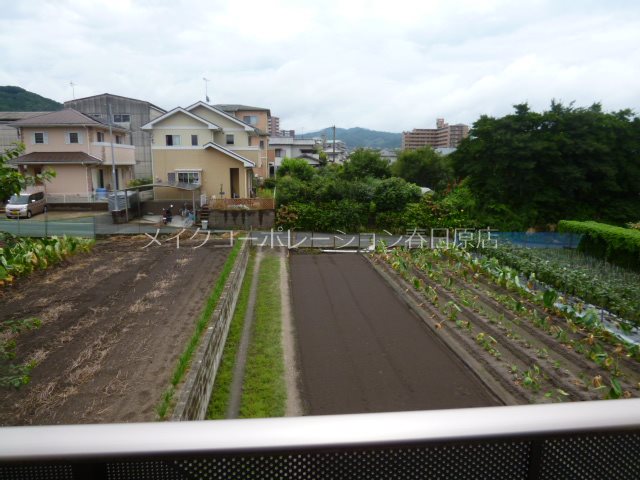 眺望 きんもくせい その他7