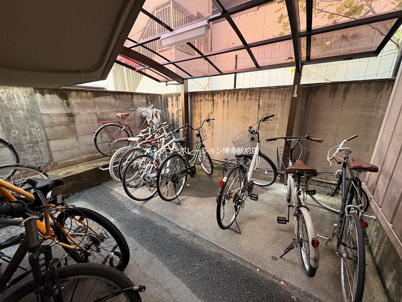 ピュアドームエレガンテ平尾 その他14