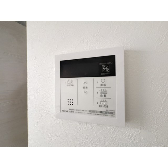 アウローラ その他7