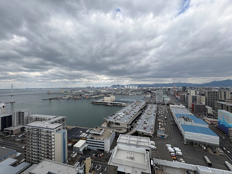 KDXレジデンス大濠ハーバービュータワー その他4