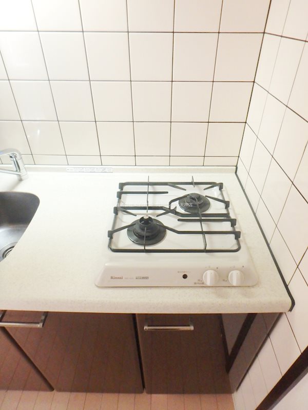 キャメロットハイネス その他13