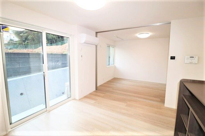 Gentiana scabra その他1