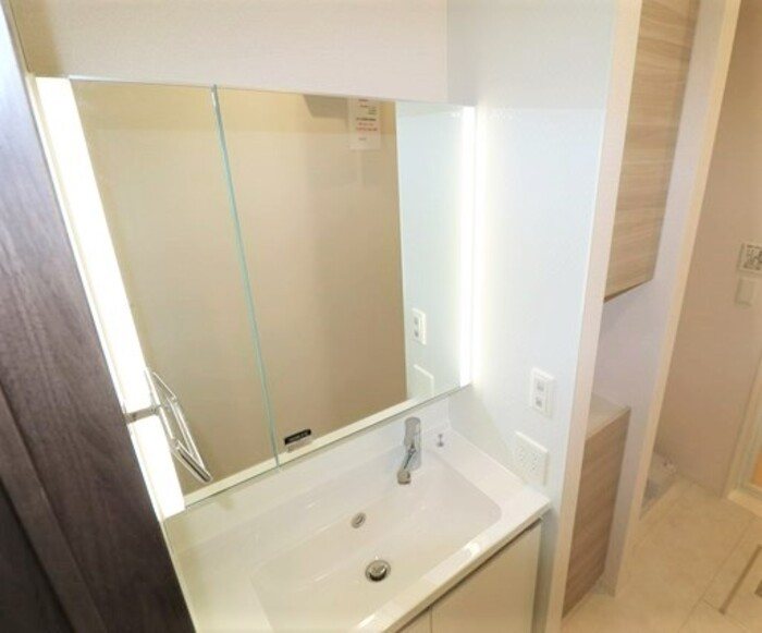 Gentiana scabra その他3