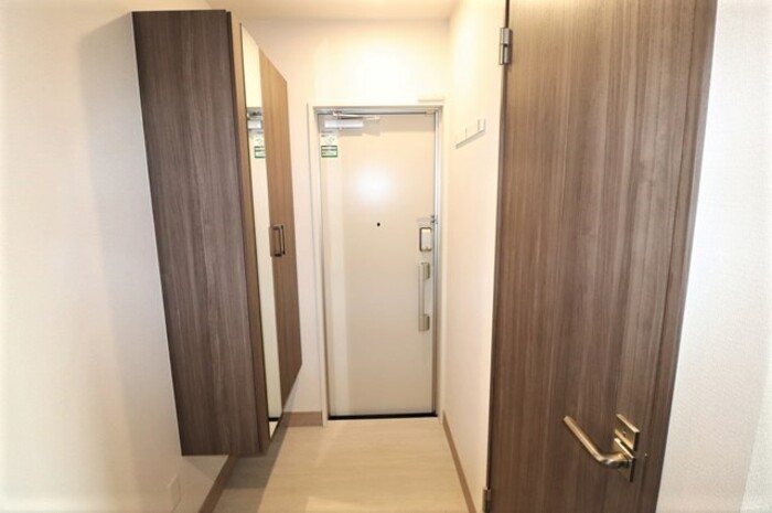 Gentiana scabra 玄関