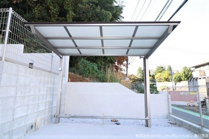 Gentiana scabra その他外観3