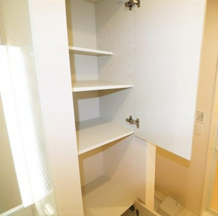 Gentiana scabra その他7