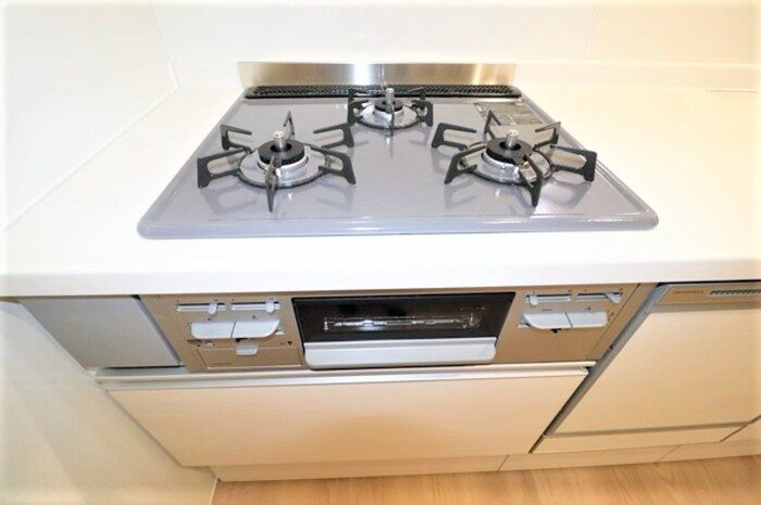 Gentiana scabra その他8