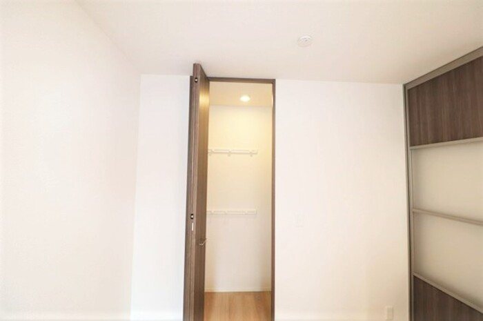 Gentiana scabra その他13