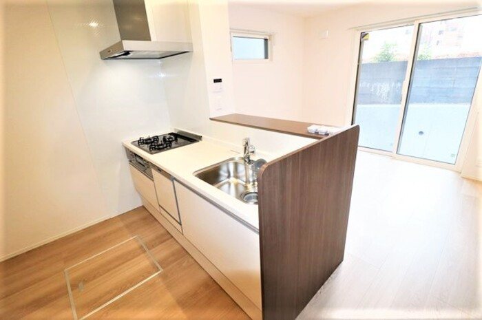 Gentiana scabra キッチン