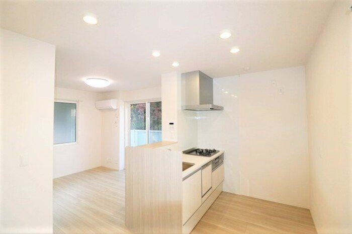 Gentiana scabra その他1