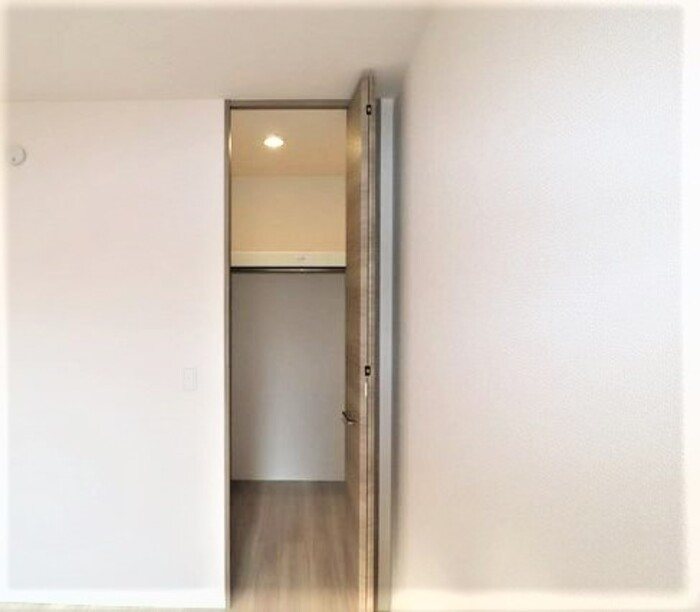 Gentiana scabra その他4