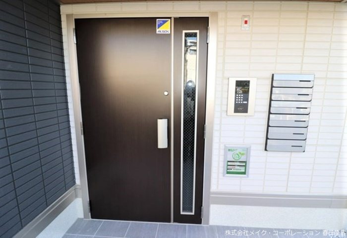 Gentiana scabra その他外観1