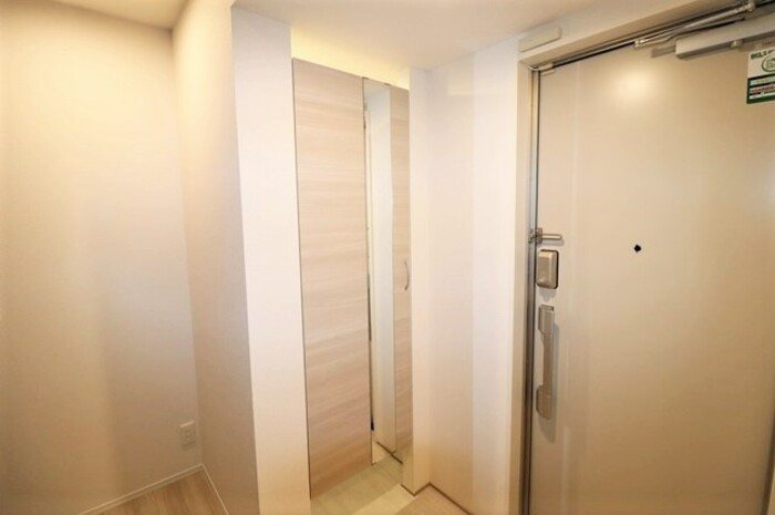 Gentiana scabra 玄関