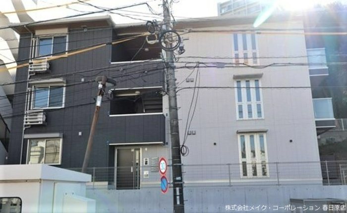 Gentiana scabra その他外観5