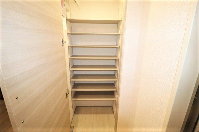 Gentiana scabra その他7