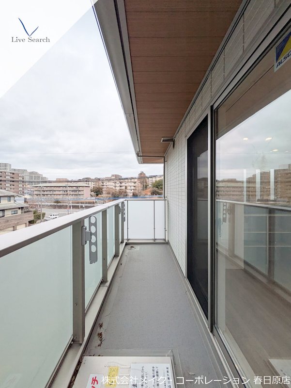 眺望 Gentiana scabra その他7