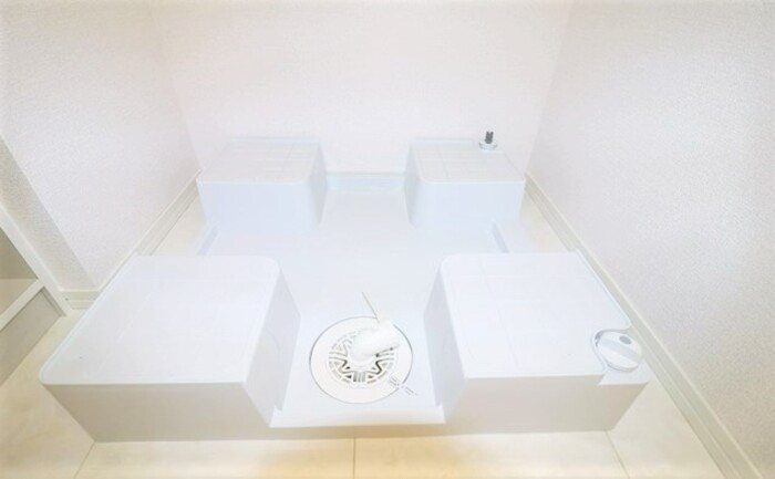 Gentiana scabra その他8