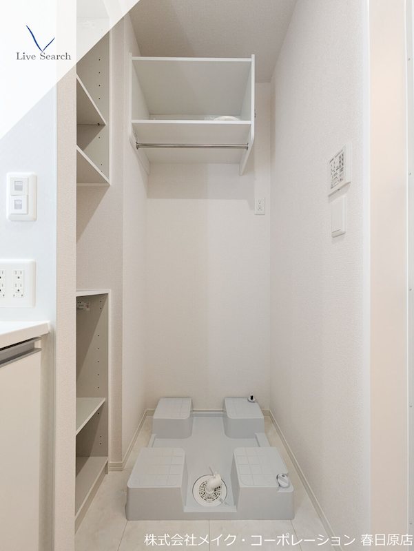 Gentiana scabra その他10