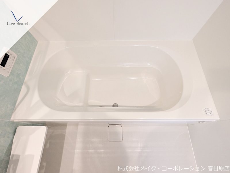 Gentiana scabra その他11