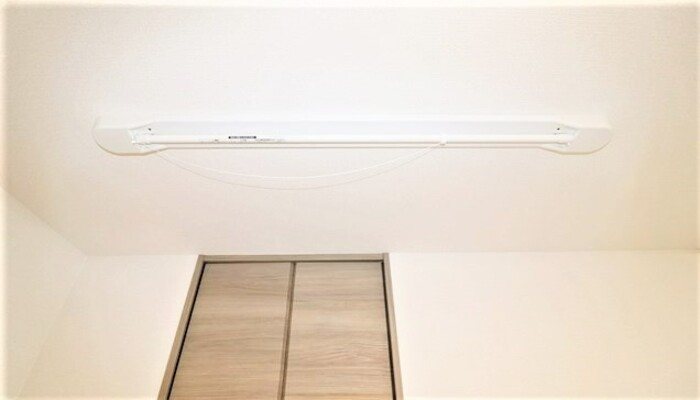 Gentiana scabra その他13